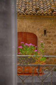 un vaso con fiori rosa sul balcone di B&B Le Coccinelle a Santo Stefano di Camastra