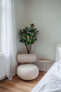 a bedroom with a plant in a chair next to a bed at Charmantes Apartment in perfekter Lage mit kostenlosem Parken in Celle