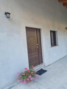 a door of a building with a flower pot next to it at Agriturismo Al Vecchio Fienile in Montesano sulla Marcellana