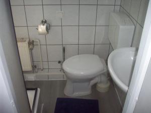 Ένα μπάνιο στο Ferienhaus Gienau