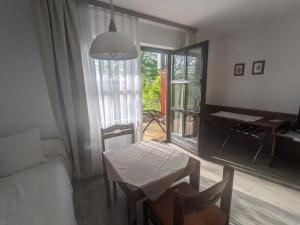 a living room with a table and a couch and a window at Ferienappartement Bademantelzugang zur Therme in Bad Griesbach
