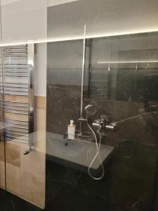 Un baño con ducha con lavabo y espejo. en Villa Rustica,  13 fotos más