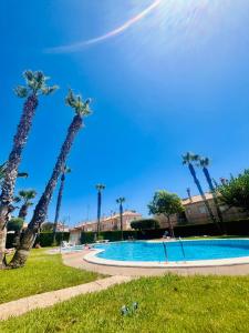 un grupo de palmeras junto a una piscina en Casa La Paz, en Torrevieja