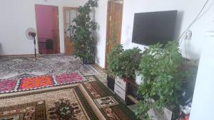 a living room with a tv and some plants at Barsbek guest house in Jangy-Talap
