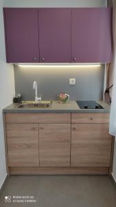 a kitchen with a sink and purple cabinets at MAKS 2 Osijek Center, self check in in Osijek