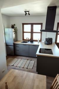 a kitchen with a sink and a refrigerator at La Ferma Nagy in Vişeu de Sus