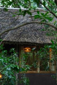 Κήπος έξω από το Koroi Forest Camp