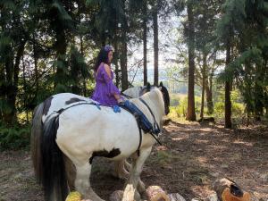 Longhopeにある2 Guests - Pet Friendly - Traditional Gypsy Vardoのギャラリーの写真