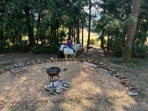 Longhopeにある2 Guests - Pet Friendly - Traditional Gypsy Vardoのギャラリーの写真