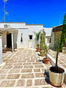 a courtyard with potted plants in front of a white building at Calliope in Gallipoli