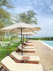 a row of lounge chairs and an umbrella next to a pool at Lake Elementaita Manor in Gilgil