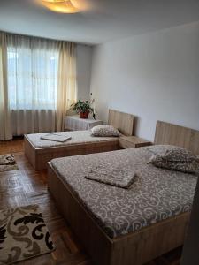 Un dormitorio con dos camas y una ventana. en Apartament cu 2 camere, en Călimăneşti