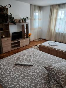 a bedroom with a bed and a flat screen tv at Apartament cu 2 camere in Călimăneşti