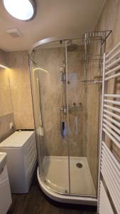 Koupelna v ubytování Tatras Apartment City Center + 4 fotografie