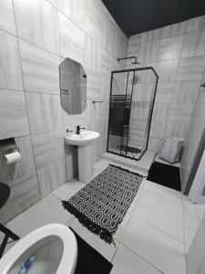 a bathroom with a sink and a toilet and a mirror at Moo Manor Flat 1 in Kimberley