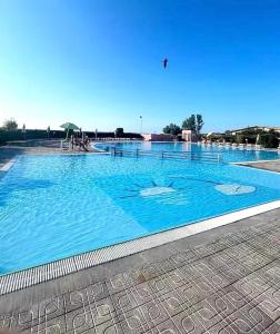 a large blue swimming pool with two dolphins in it at Casetta mia Seaside in Buonfornello +17 photos