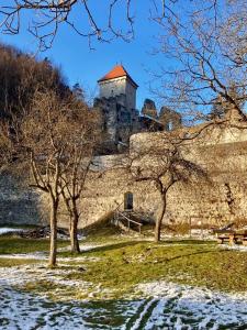 a castle on top of a hill with trees at Slovenian Green Apartment in Radovljica