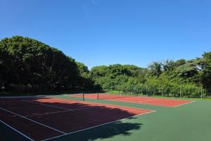 a couple of tennis courts with trees in the background at Renvyle House Hotel & Resort in Renvyle