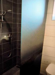 a bathroom with a shower stall and a toilet at Slovenian Green Apartment in Radovljica