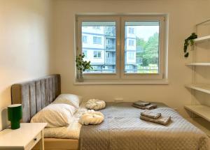 a bed with pumpkins on it in a room with a window at Dębina Spot 27 in Debina