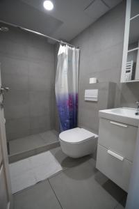 a bathroom with a shower and a toilet and a sink at KgB - 32, Stylish City Apartment - 10 mins walk to Old Town in Vilnius