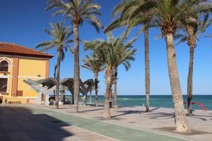 un grupo de palmeras junto a la playa en Hotel Teruel, en Vinarós