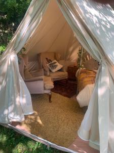 SaltdeanにあるPlum Tree Glamping near Brightonのギャラリーの写真