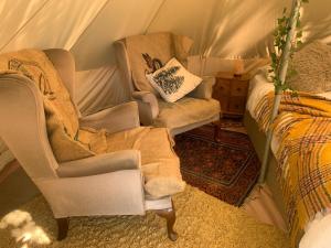 SaltdeanにあるPlum Tree Glamping near Brightonのギャラリーの写真