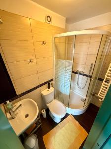 a bathroom with a shower and a toilet and a sink at U Gosa in Ustronie Morskie +21 photos