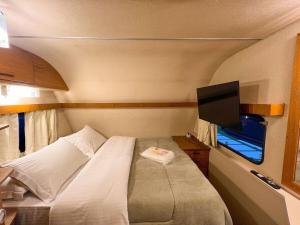 a small bedroom with a bed and a flat screen tv at La Brume Trailers in Campos do Jordão