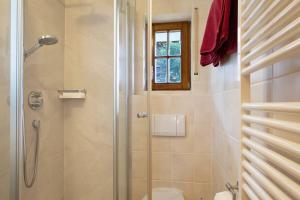 a bathroom with a shower and a toilet at Waldhuesli Feldberg Gartengeschoss in Feldberg +21 photos