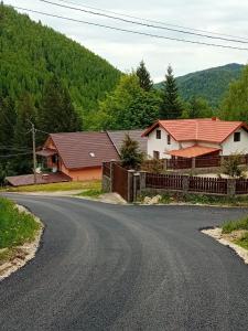 a house on the side of a road at Cabana Boema Râușor in Rausor