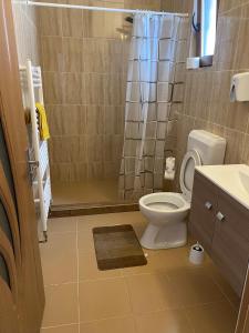 a bathroom with a toilet and a shower at Cabana Izvorul Rece Maramureş in Baia-Sprie