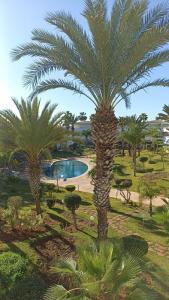 a group of palm trees in a park with a pool at Appartement Bouznika Bay Golf Beach in Bouznika