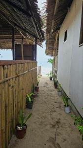 Gambar di galeri bagi SOLMAR camping site di San Vicente