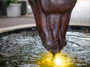 a close up of a water fountain with a trunk in the water at Rhone Hill Polo Club in Plettenberg Bay