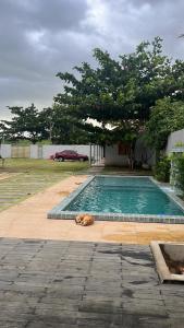 马塞约Chácara Ws的游泳池旁的狗躺在地上