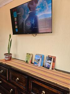 Un televisor encima de una cómoda con libros. en One Day Trip Hostel, en Antigua Guatemala