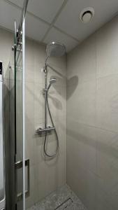 a shower with a shower head in a bathroom at Zviedru Nams in Liepāja +64 photos
