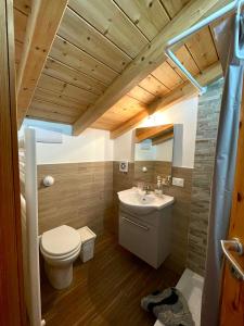 a bathroom with a toilet and a sink at Flyhouse PARCHEGGIO AUTO BICI GRATUITO in Piana degli Albanesi