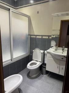 a bathroom with a toilet and a sink at Apartamento Céntrico y Lujoso in Tangier