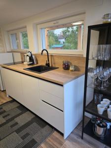 a kitchen counter with a sink and a window at Kuća za odmor Marinano in Slavonski Brod