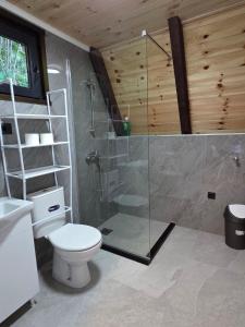 a bathroom with a toilet and a glass shower at Visitor Place in Plav +20 photos