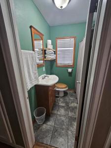 a bathroom with a sink and a toilet and a mirror at Cozy Tree-Area Home in Laramie in Laramie +36 photos