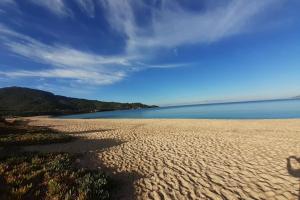 a view of a beach with the water and sky at Beautiful apartment at 100m from the beach in Calcatoggio