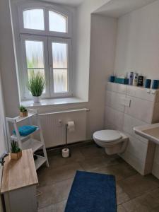 a bathroom with a toilet and a sink and a window at Moderne Gästewohnung "Am Weinberg" am Stadtpark in Oschatz +8 photos