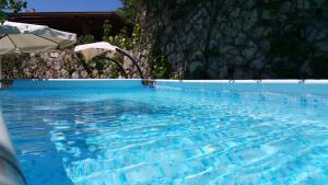 a large blue swimming pool with an umbrella at Noam Hamargalit in Kefar Weradim