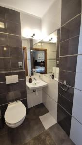 a bathroom with a toilet and a sink and a mirror at Noclegi Tyczyn in Tyczyn