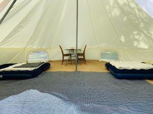 a tent with two beds and a table in it at Fredelig og landlig lavvoferie in Møkjåland