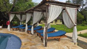 a group of beds sitting next to a pool at Africa Safari Selous Camping in Kwangwazi